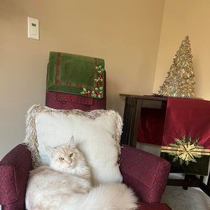 Meet your Posher, Becky